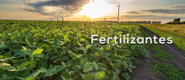 fertilizantes